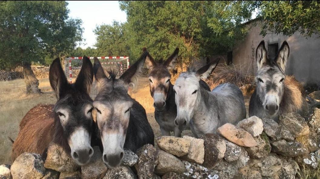 فيلا El Rincon De Piron Losana de Piron المظهر الخارجي الصورة